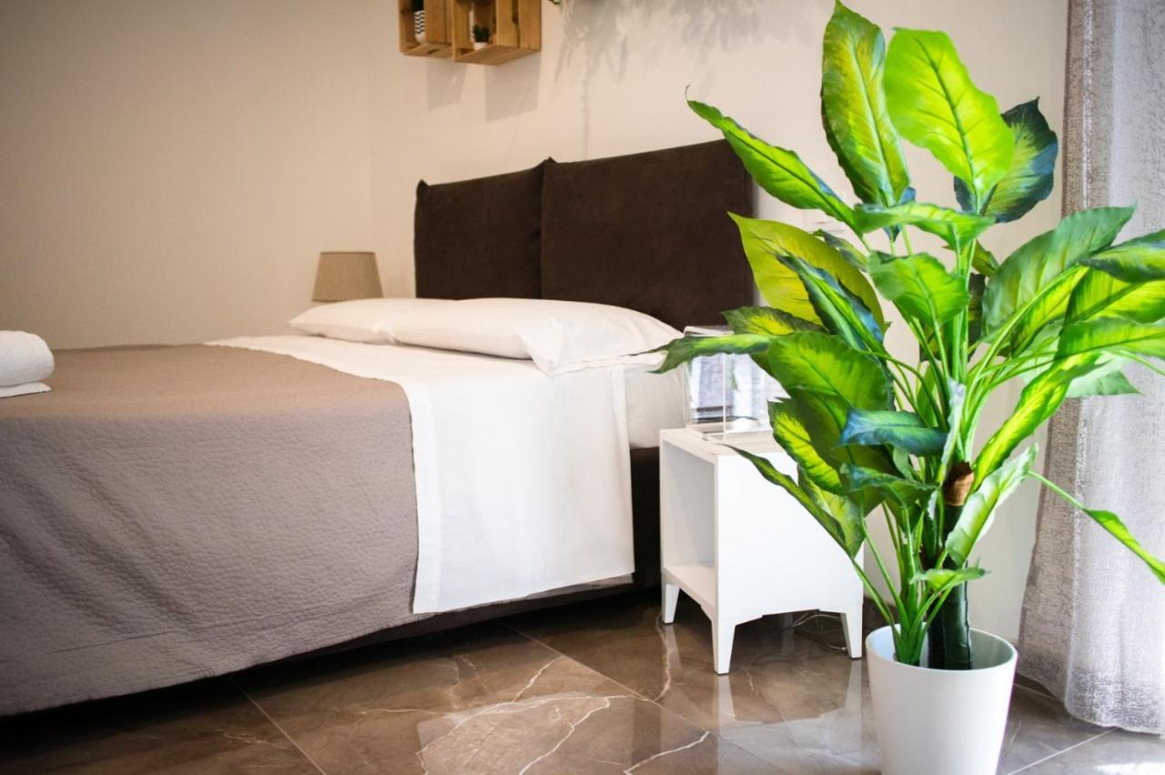 Suebi Rooms Termoli Exteriér fotografie